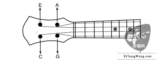 �ȿ������������