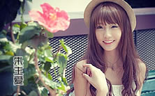 ��Ҷ�ݼ�����